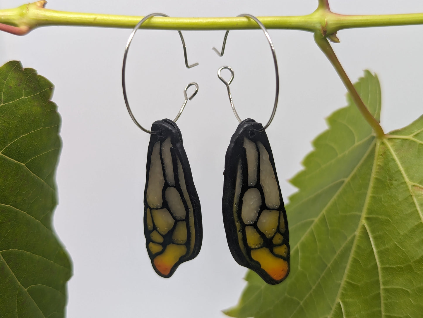 Sunset Blushed Honey Bee Wings