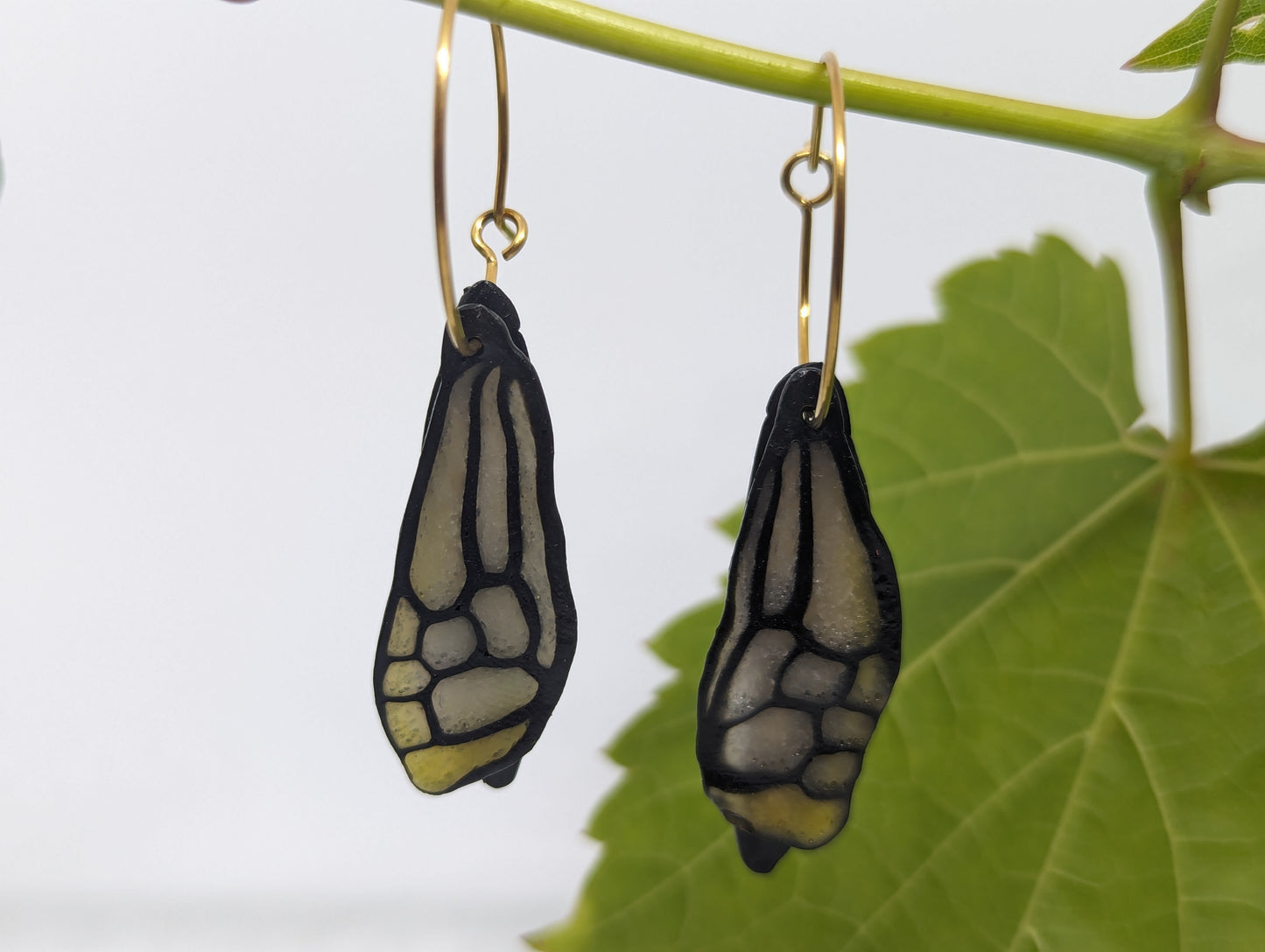 Yellow Blushed Honey Bee Wings