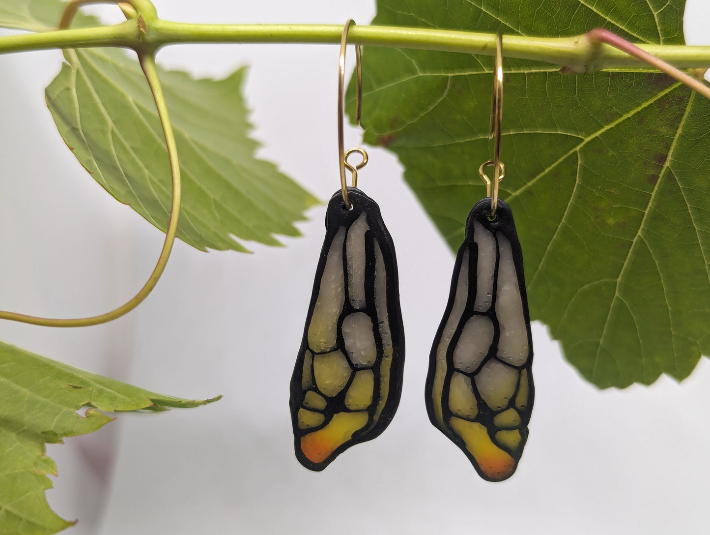 Sunset Blushed Honey Bee Wings