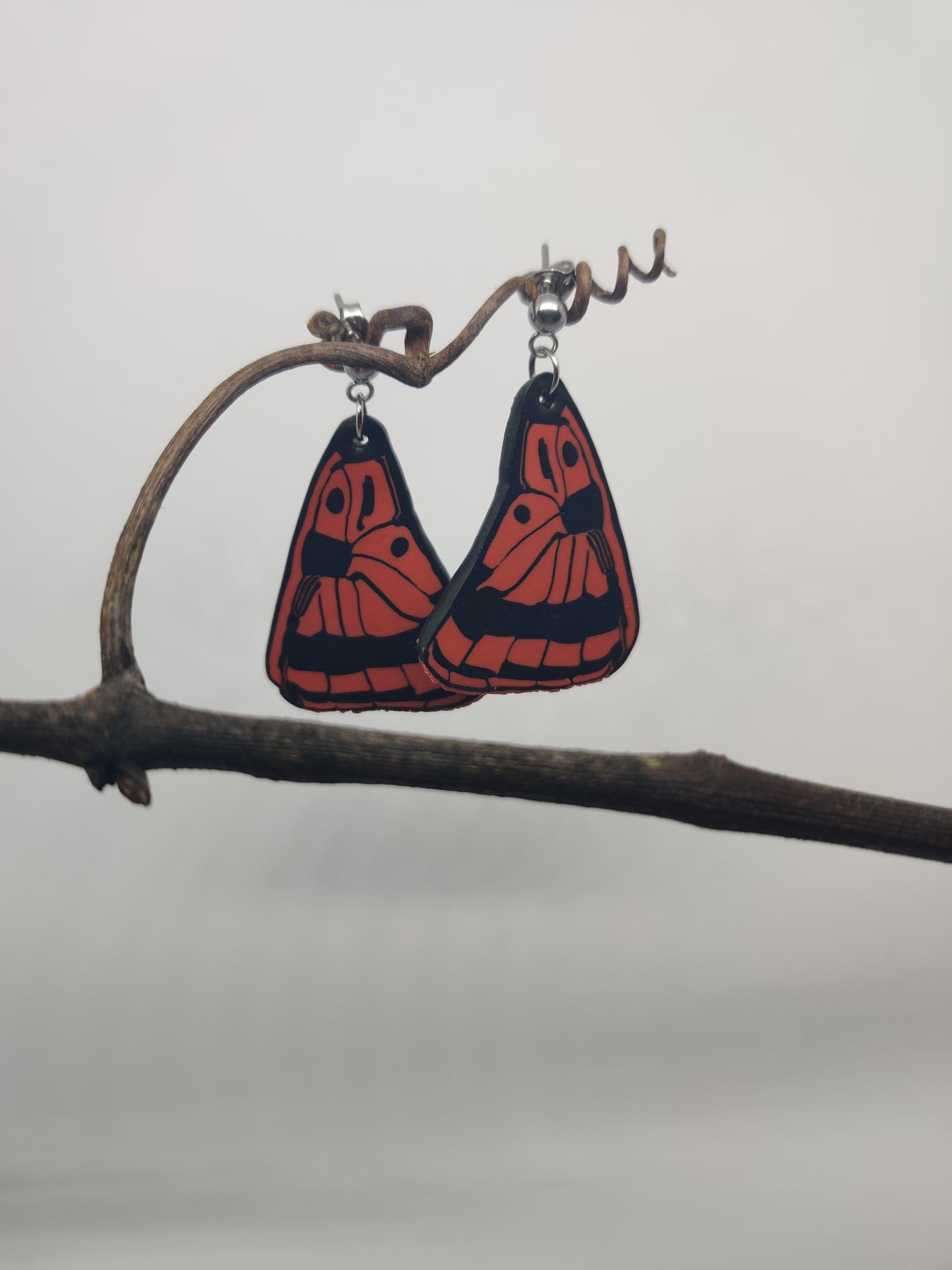 NZ Native Copper Butterfly