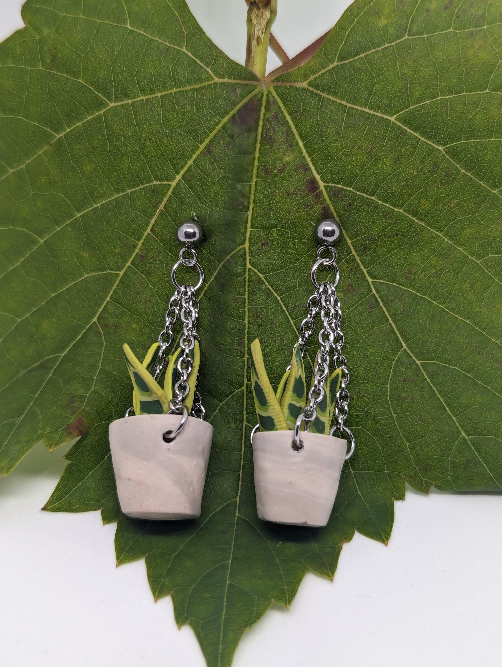snake plant hanging basket Hanging Snake Plant – A Pinch Of Whimsy