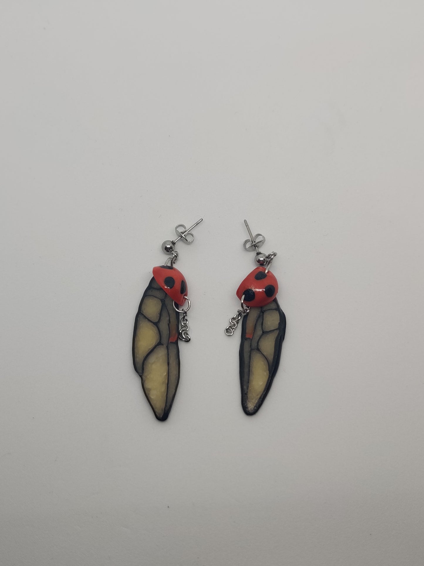 Harlequin Ladybug Wings